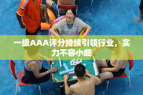一级AAA评分持续引领行业，实力不容小觑
