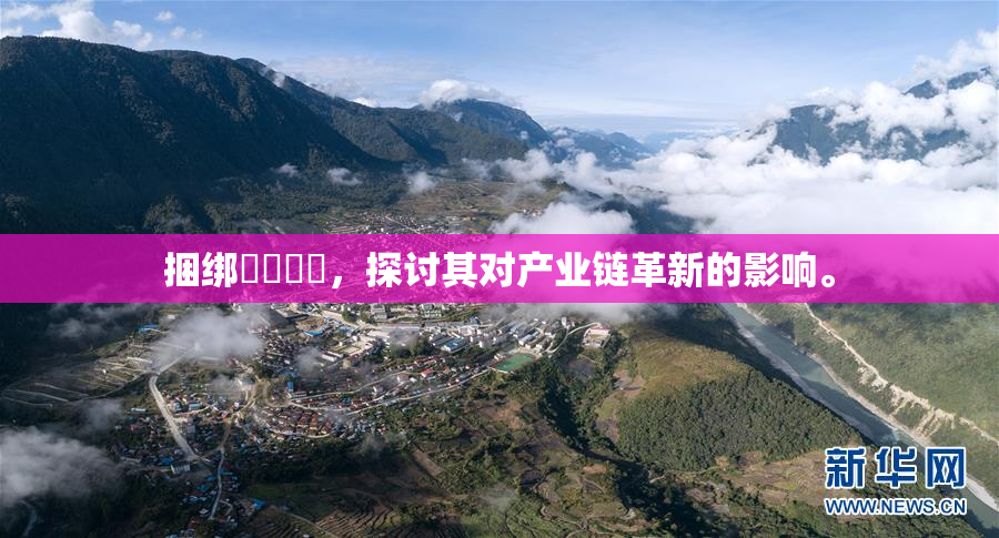 捆绑❌‌❌‌，探讨其对产业链革新的影响。
