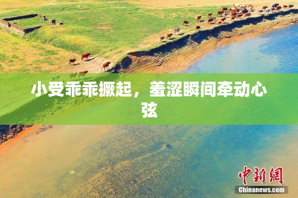 小受乖乖撅起，羞涩瞬间牵动心弦