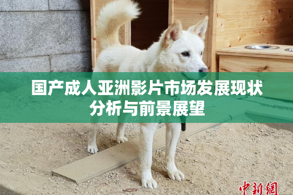 国产成人亚洲影片市场发展现状分析与前景展望