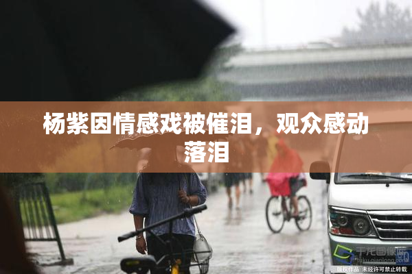 杨紫因情感戏被催泪，观众感动落泪