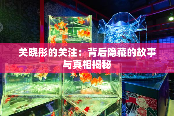 关晓彤的关注：背后隐藏的故事与真相揭秘