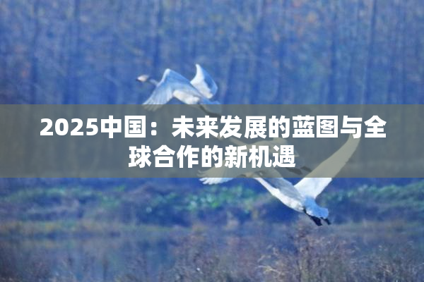2025中国：未来发展的蓝图与全球合作的新机遇