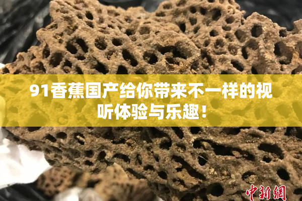 91香蕉国产给你带来不一样的视听体验与乐趣！