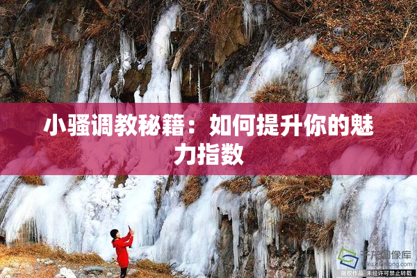 小骚调教秘籍：如何提升你的魅力指数