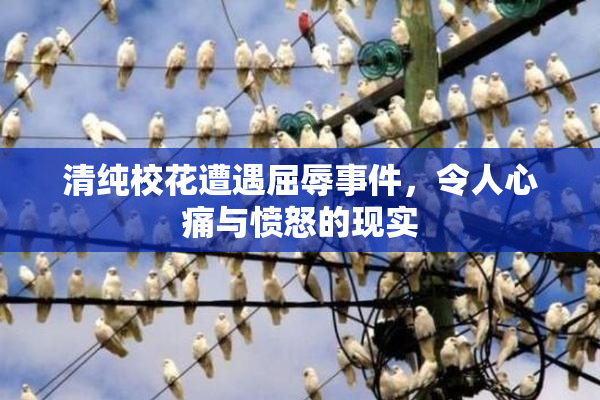 清纯校花遭遇屈辱事件，令人心痛与愤怒的现实
