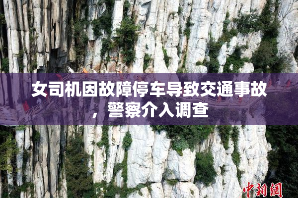女司机因故障停车导致交通事故，警察介入调查