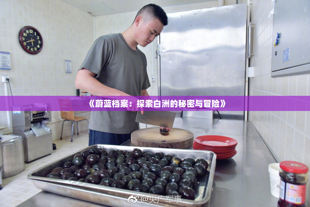 《蔚蓝档案：探索白洲的秘密与冒险》
