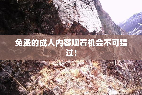 免费的成人内容观看机会不可错过！