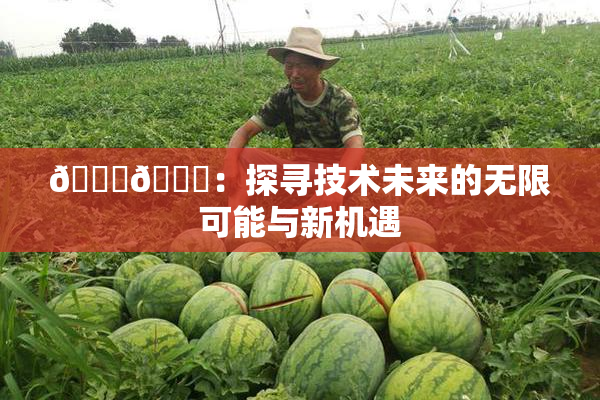 🔞🍆：探寻技术未来的无限可能与新机遇