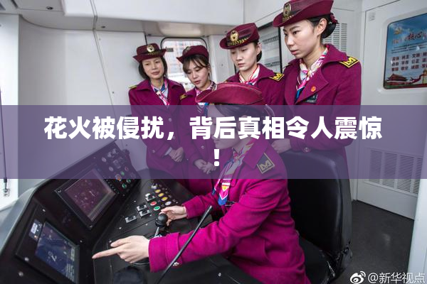 花火被侵扰，背后真相令人震惊！