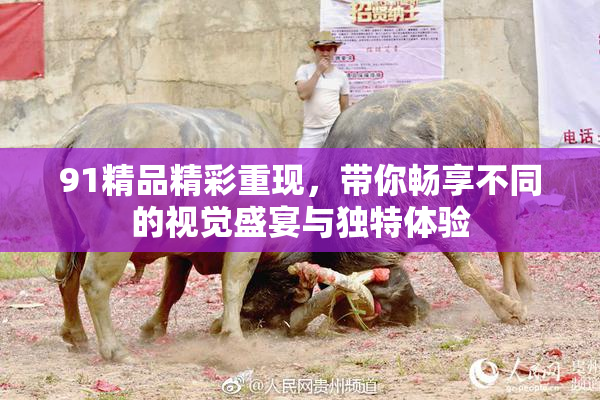 91精品精彩重现，带你畅享不同的视觉盛宴与独特体验