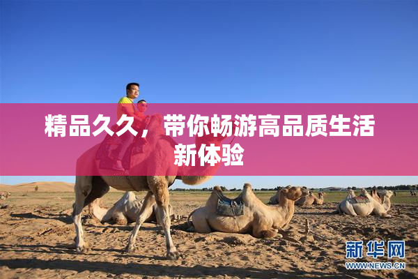 精品久久，带你畅游高品质生活新体验