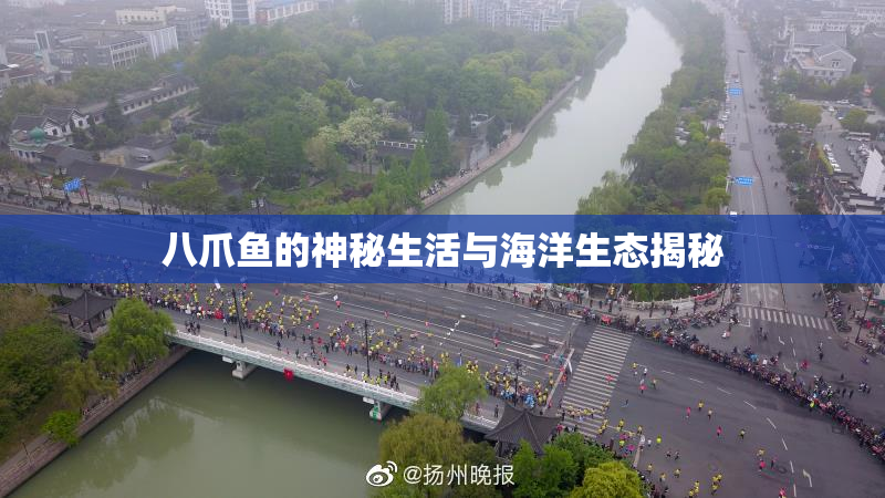 八爪鱼的神秘生活与海洋生态揭秘