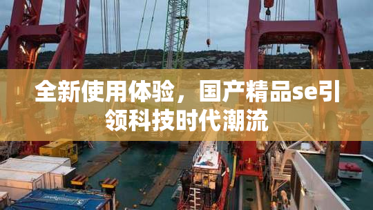 全新使用体验，国产精品se引领科技时代潮流