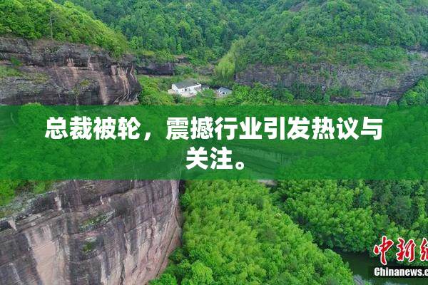 总裁被轮，震撼行业引发热议与关注。