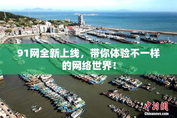 91网全新上线，带你体验不一样的网络世界！