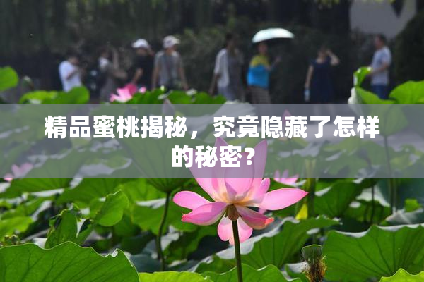 精品蜜桃揭秘，究竟隐藏了怎样的秘密？
