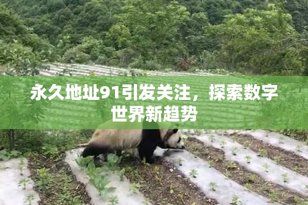 永久地址91引发关注，探索数字世界新趋势