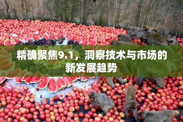 精确聚焦9.1，洞察技术与市场的新发展趋势