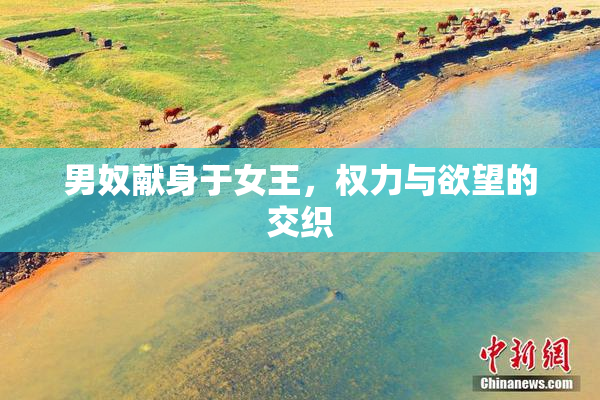 男奴献身于女王，权力与欲望的交织