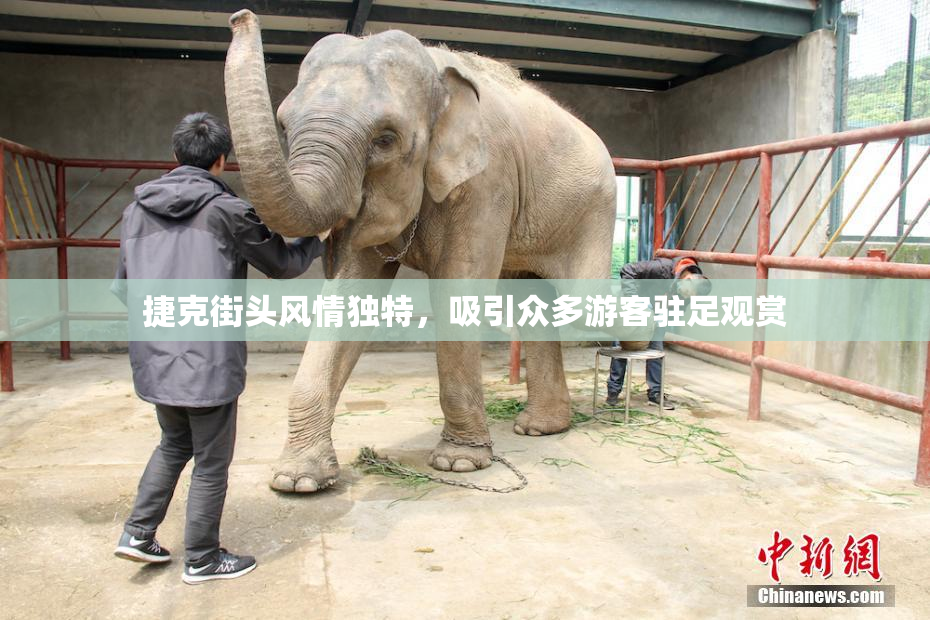 捷克街头风情独特，吸引众多游客驻足观赏