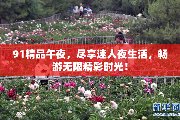 91精品午夜，尽享迷人夜生活，畅游无限精彩时光！