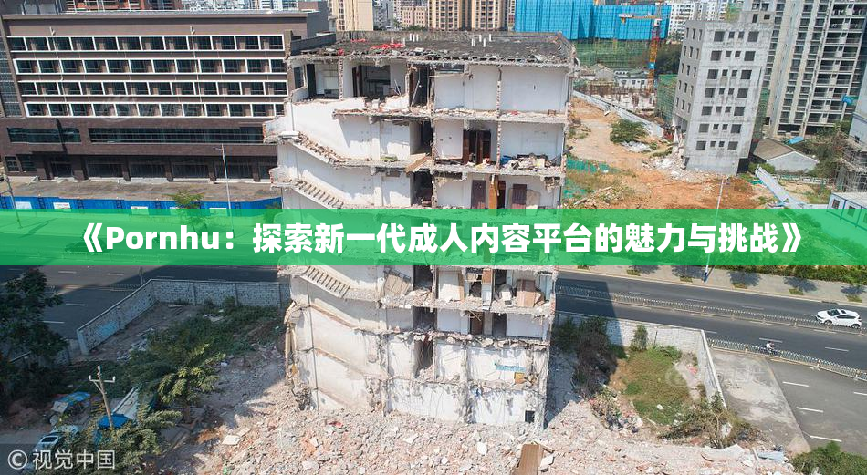 《Pornhu：探索新一代成人内容平台的魅力与挑战》