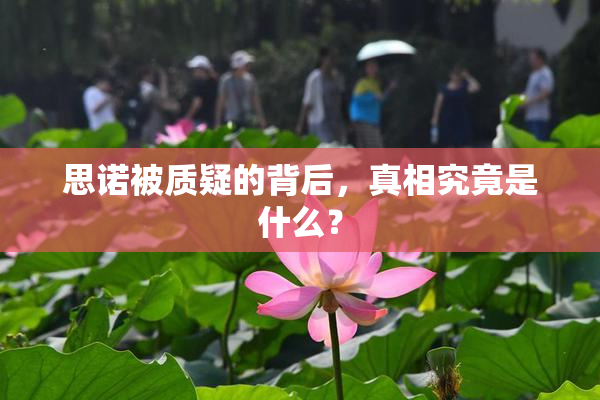 思诺被质疑的背后，真相究竟是什么？