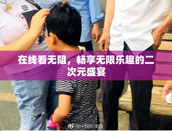 在线看无阻，畅享无限乐趣的二次元盛宴