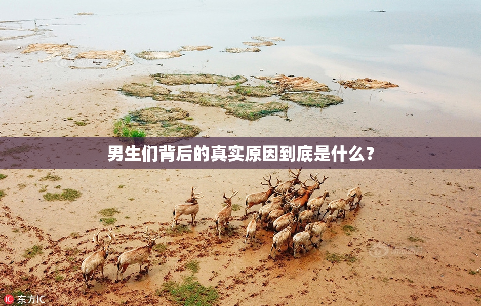男生们背后的真实原因到底是什么？