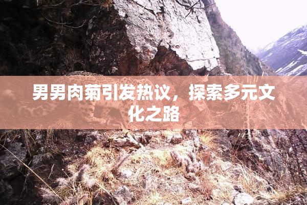 男男肉菊引发热议，探索多元文化之路