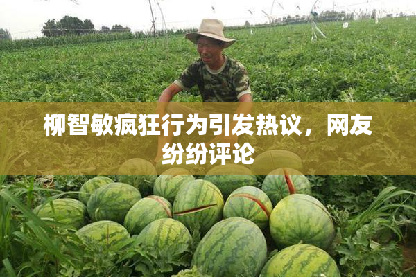 柳智敏疯狂行为引发热议，网友纷纷评论