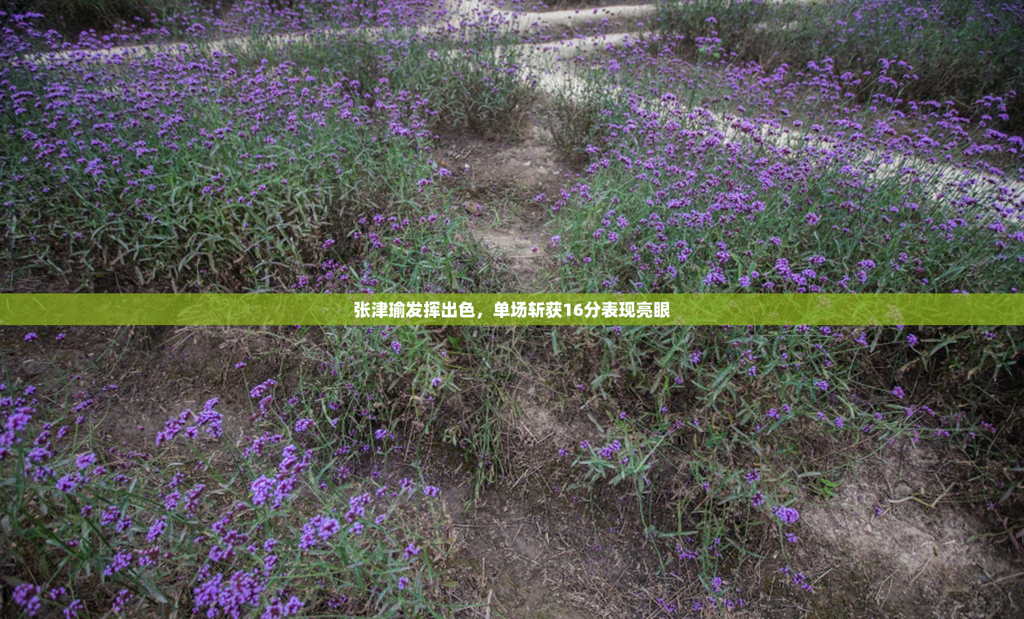 张津瑜发挥出色，单场斩获16分表现亮眼
