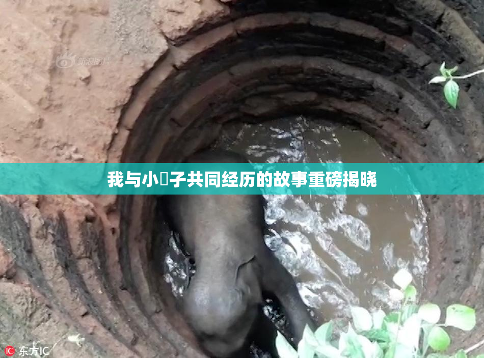 我与小娻孑共同经历的故事重磅揭晓