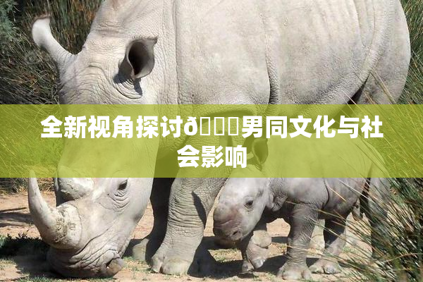 全新视角探讨🔞男同文化与社会影响