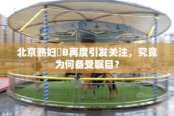 北京熟妇槡B再度引发关注，究竟为何备受瞩目？
