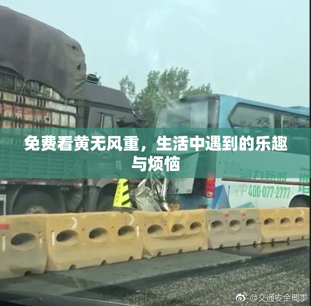 免费看黄无风重，生活中遇到的乐趣与烦恼