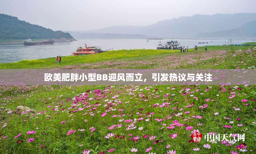 欧美肥胖小型BB迎风而立，引发热议与关注