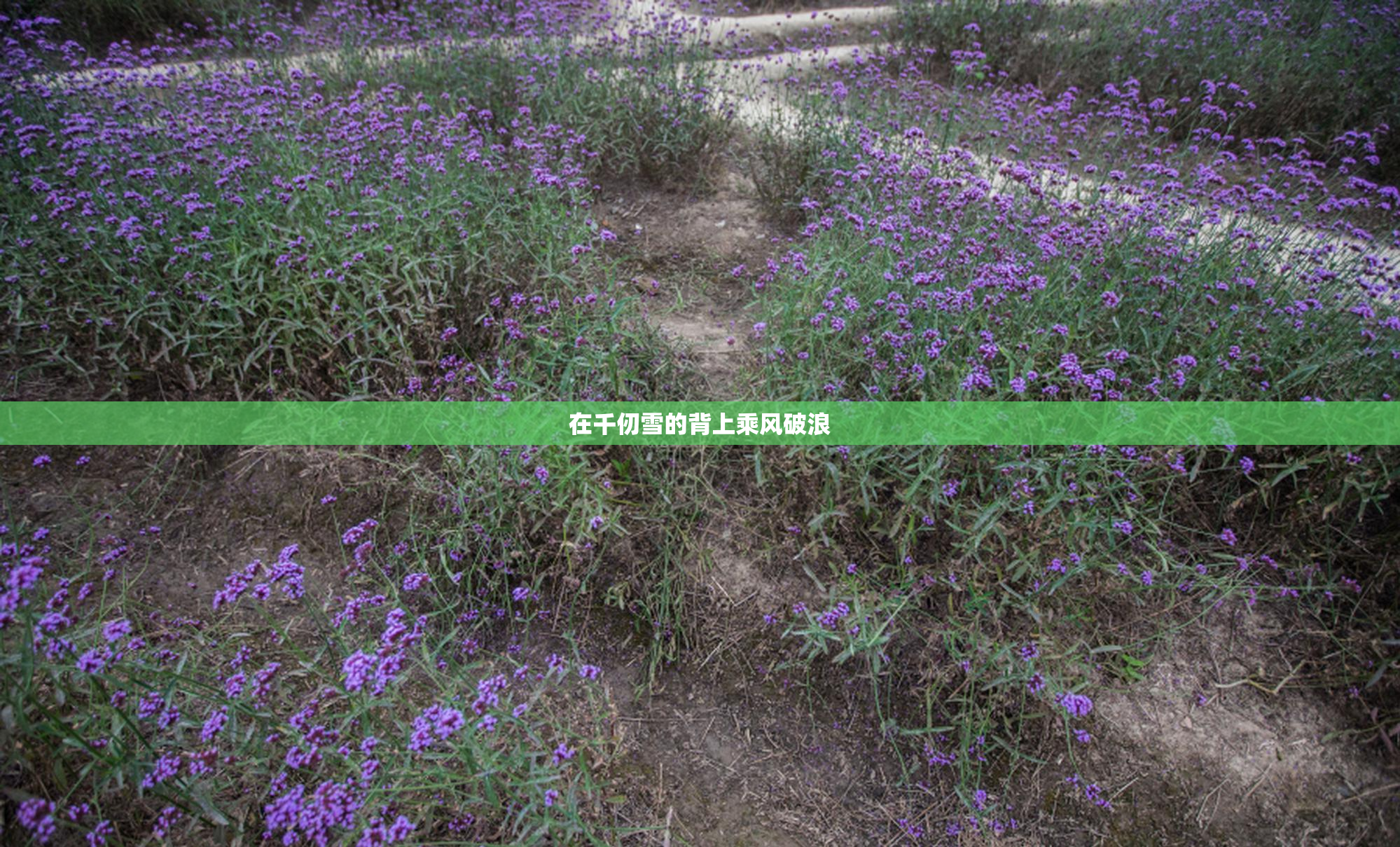 在千仞雪的背上乘风破浪