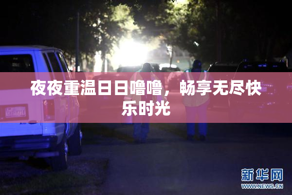 夜夜重温日日噜噜，畅享无尽快乐时光