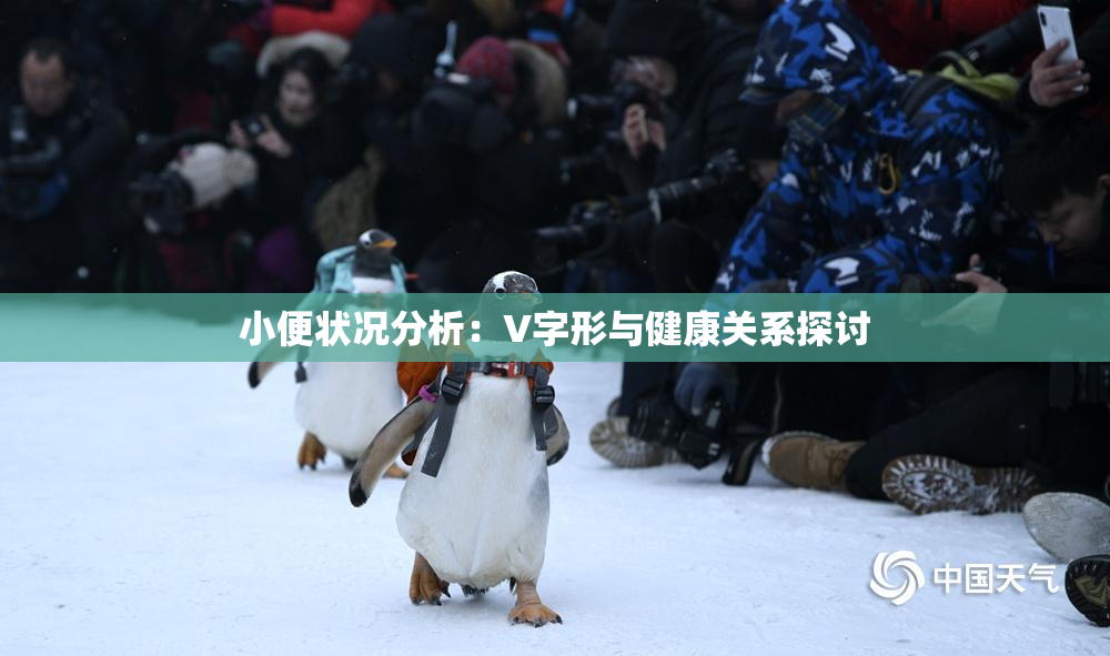 小便状况分析：V字形与健康关系探讨