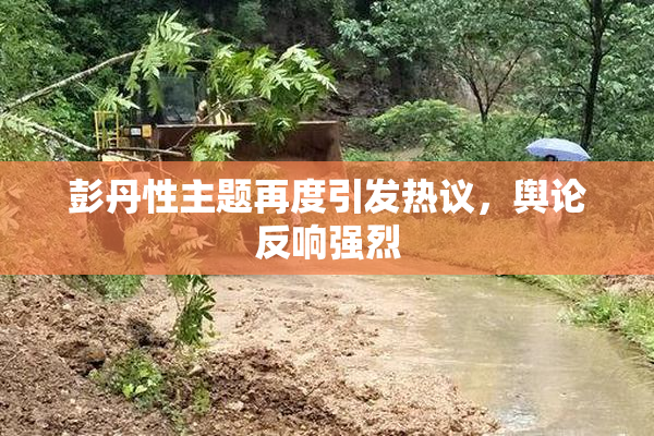 彭丹性主题再度引发热议，舆论反响强烈