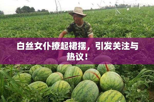 白丝女仆撩起裙摆，引发关注与热议！