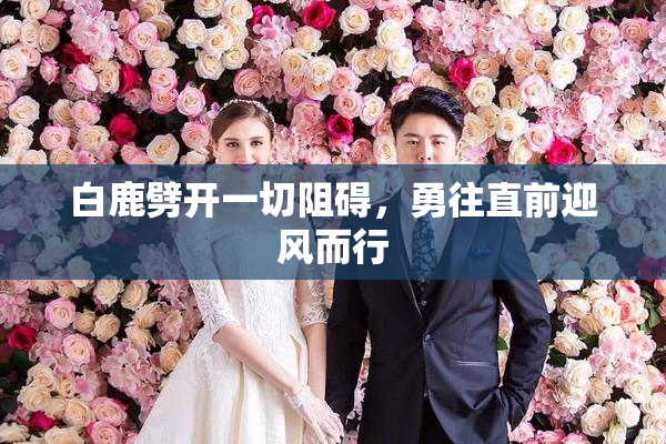 白鹿劈开一切阻碍，勇往直前迎风而行
