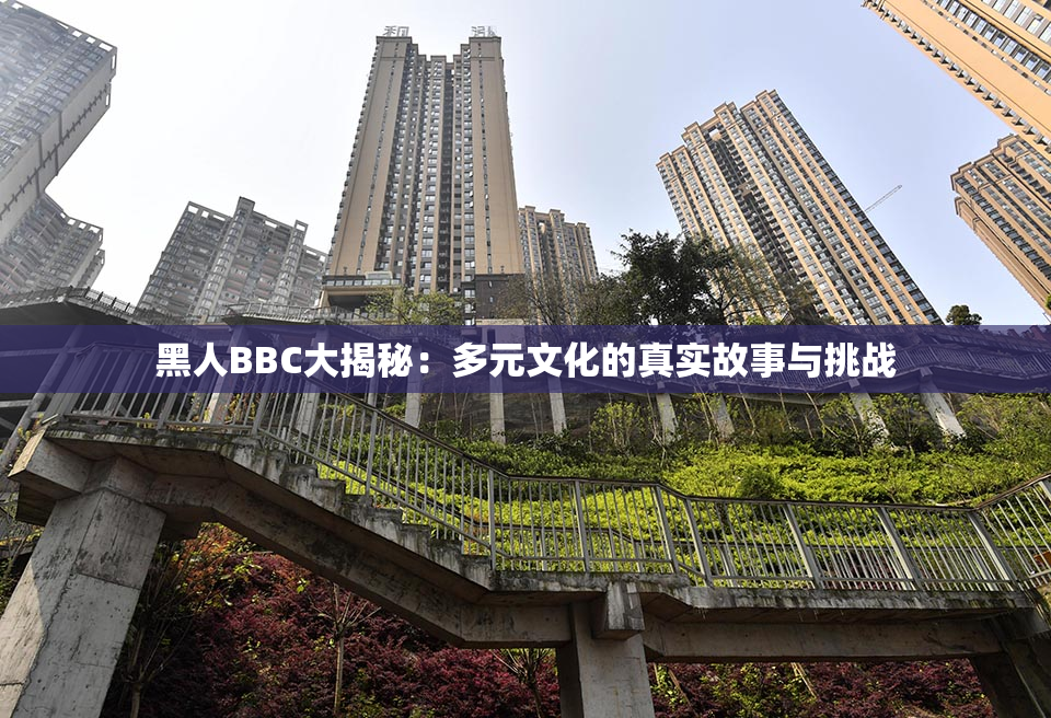 黑人BBC大揭秘：多元文化的真实故事与挑战