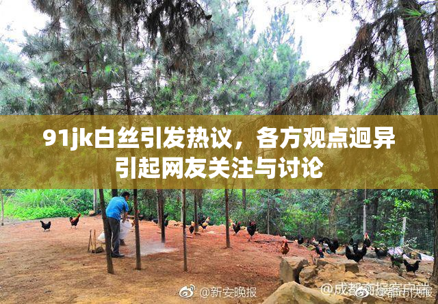 91jk白丝引发热议，各方观点迥异引起网友关注与讨论
