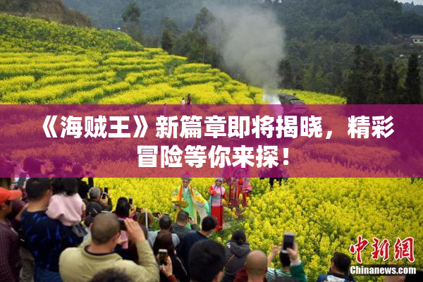 《海贼王》新篇章即将揭晓，精彩冒险等你来探！