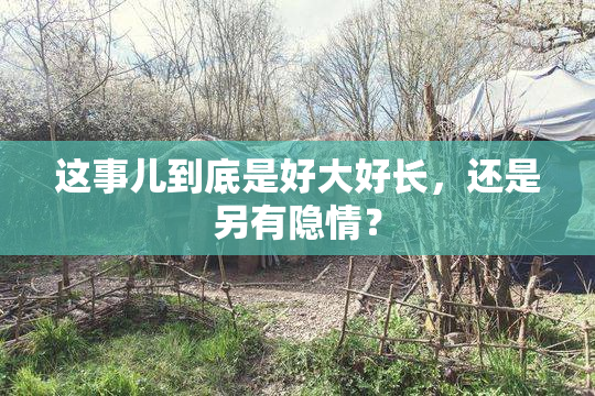 这事儿到底是好大好长，还是另有隐情？