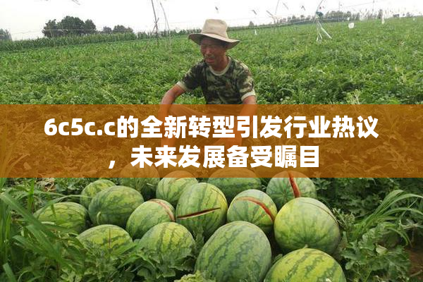 6c5c.c的全新转型引发行业热议，未来发展备受瞩目